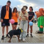 Μαθητικό Φεστιβάλ «Υιοθετούμε αγάπη... με ουρά», υπό βροχή στην πλαζ Αγυιάς