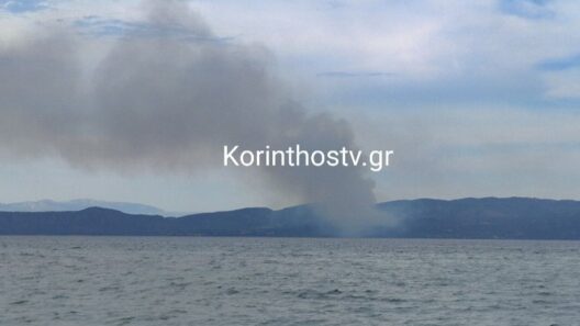 Λουτράκι: Φωτιά στη λίμνη Βουλιαγμένης - Ήχησε το 112 ΒΙΝΤΕΟ 36 Λουτράκι: Φωτιά στη λίμνη Βουλιαγμένης - Ήχησε το 112 ΒΙΝΤΕΟ