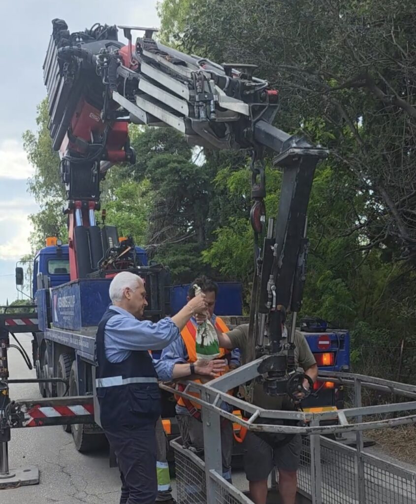Ρίο: Ασυνήθιστη διάσωση και επιστροφή γερακιού στη φωλιά του ΦΩΤΟ 29 Ρίο: Ασυνήθιστη διάσωση και επιστροφή γερακιού στη φωλιά του ΦΩΤΟ