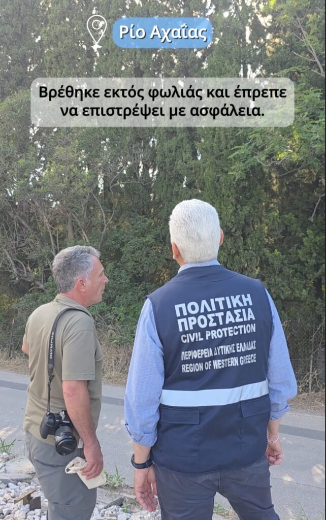 Ρίο: Ασυνήθιστη διάσωση και επιστροφή γερακιού στη φωλιά του ΦΩΤΟ 31 Ρίο: Ασυνήθιστη διάσωση και επιστροφή γερακιού στη φωλιά του ΦΩΤΟ