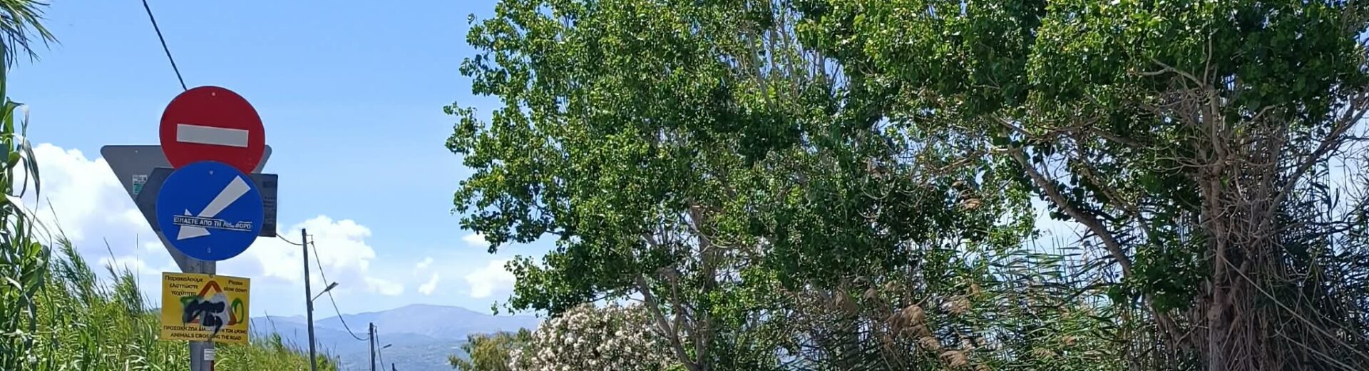 Αίγιο: Καλοκαίρι με μονόδρομη κίνηση στην παραλιακή