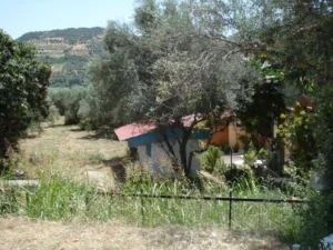 Ερινεός: Απαγορεύθηκε η χρήση νερού για πότισμα σε τέσσερα χωριά