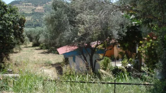 Ερινεός: Απαγορεύθηκε η χρήση νερού για πότισμα σε τέσσερα χωριά 37 Ερινεός: Απαγορεύθηκε η χρήση νερού για πότισμα σε τέσσερα χωριά