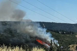 Θεσσαλονίκη: Τρεις συλλήψεις για τη φωτιά στο Φίλυρο
