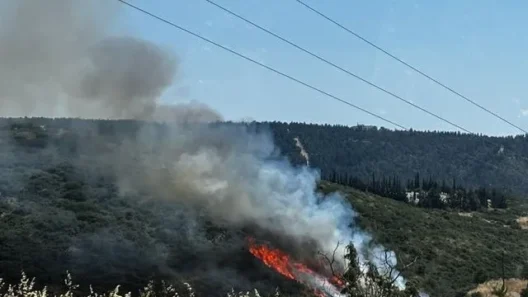 Θεσσαλονίκη: Τρεις συλλήψεις για τη φωτιά στο Φίλυρο 36 Θεσσαλονίκη: Τρεις συλλήψεις για τη φωτιά στο Φίλυρο