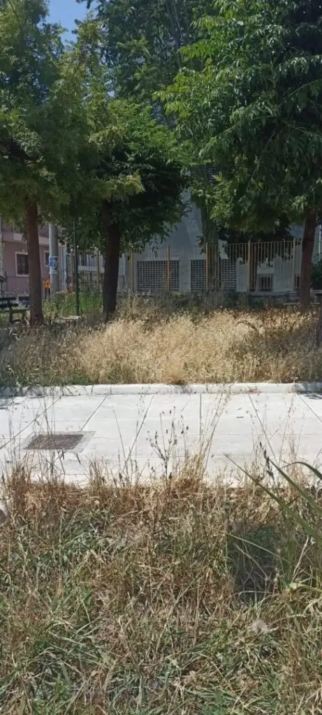 Πάτρα: «Ζούγκλα» με φίδια σε σχολείο στα Ταμπάχανα ΦΩΤΟ