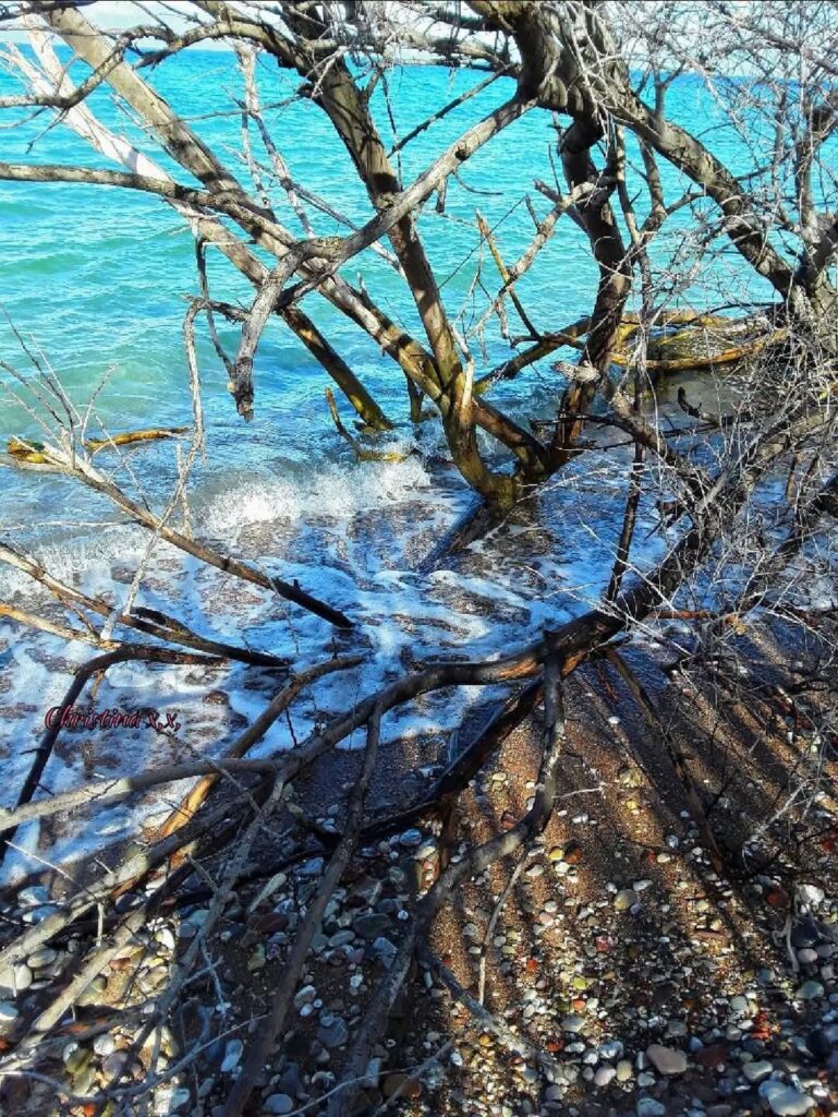 Αχαΐα: Η κλιματική αλλαγή «καταπίνει» τον Κορινθιακό, εξαφανίζοντας παραλία ΦΩΤΟ 31 Αχαΐα: Η κλιματική αλλαγή «καταπίνει» τον Κορινθιακό, εξαφανίζοντας παραλία ΦΩΤΟ