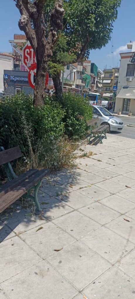 Πάτρα: «Ζούγκλα», φίδια και παρακμή τα Ταμπάχανα, δίπλα σε σχολείο ΦΩΤΟ 35 Πάτρα: «Ζούγκλα», φίδια και παρακμή τα Ταμπάχανα, δίπλα σε σχολείο ΦΩΤΟ