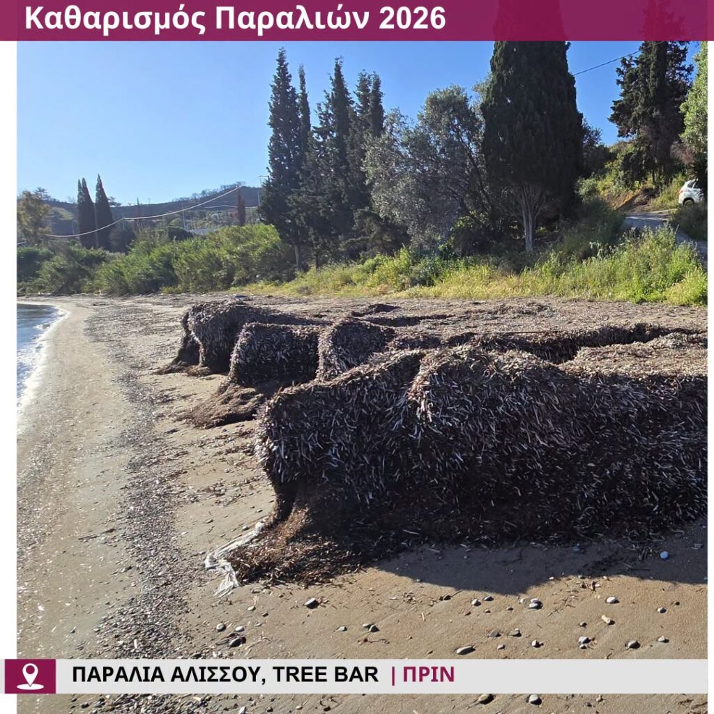 Αλισσός: Ανετη και ασφαλής η παραλία, με Ναυαγοσωστικό πύργο ΦΩΤΟ 33 Αλισσός: Ανετη και ασφαλής η παραλία, με Ναυαγοσωστικό πύργο ΦΩΤΟ