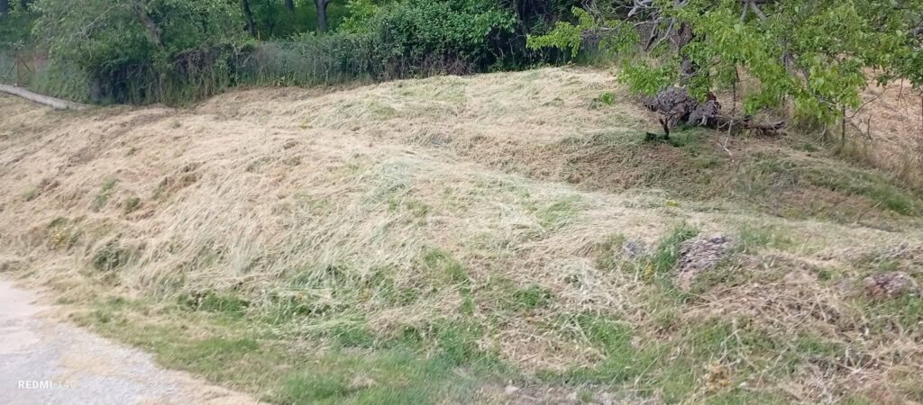 Καλάβρυτα: «Λάμπει» το χωριό στον κεντρικό δρόμο, από Σπήλαιο Λιμνών ΦΩΤΟ 29 Καλάβρυτα: «Λάμπει» το χωριό στον κεντρικό δρόμο, από Σπήλαιο Λιμνών ΦΩΤΟ