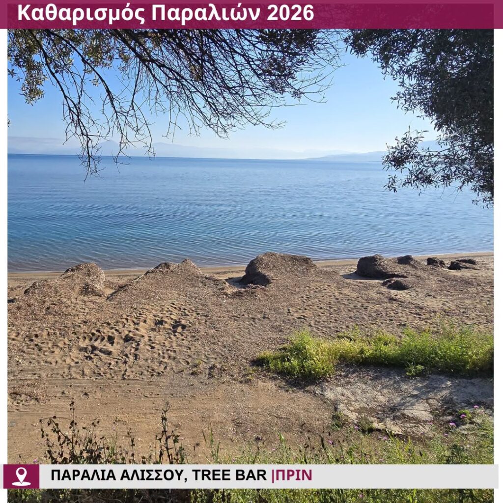 Αλισσός: Ανετη και ασφαλής η παραλία, με Ναυαγοσωστικό πύργο ΦΩΤΟ 31 Αλισσός: Ανετη και ασφαλής η παραλία, με Ναυαγοσωστικό πύργο ΦΩΤΟ