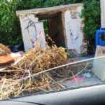 Πάτρα: SOS στην Αρόη, για ...«προσανάμματα» φωτιάς ΦΩΤΟ