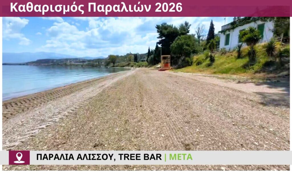 Αλισσός: Ανετη και ασφαλής η παραλία, με Ναυαγοσωστικό πύργο ΦΩΤΟ 28 Αλισσός: Ανετη και ασφαλής η παραλία, με Ναυαγοσωστικό πύργο ΦΩΤΟ