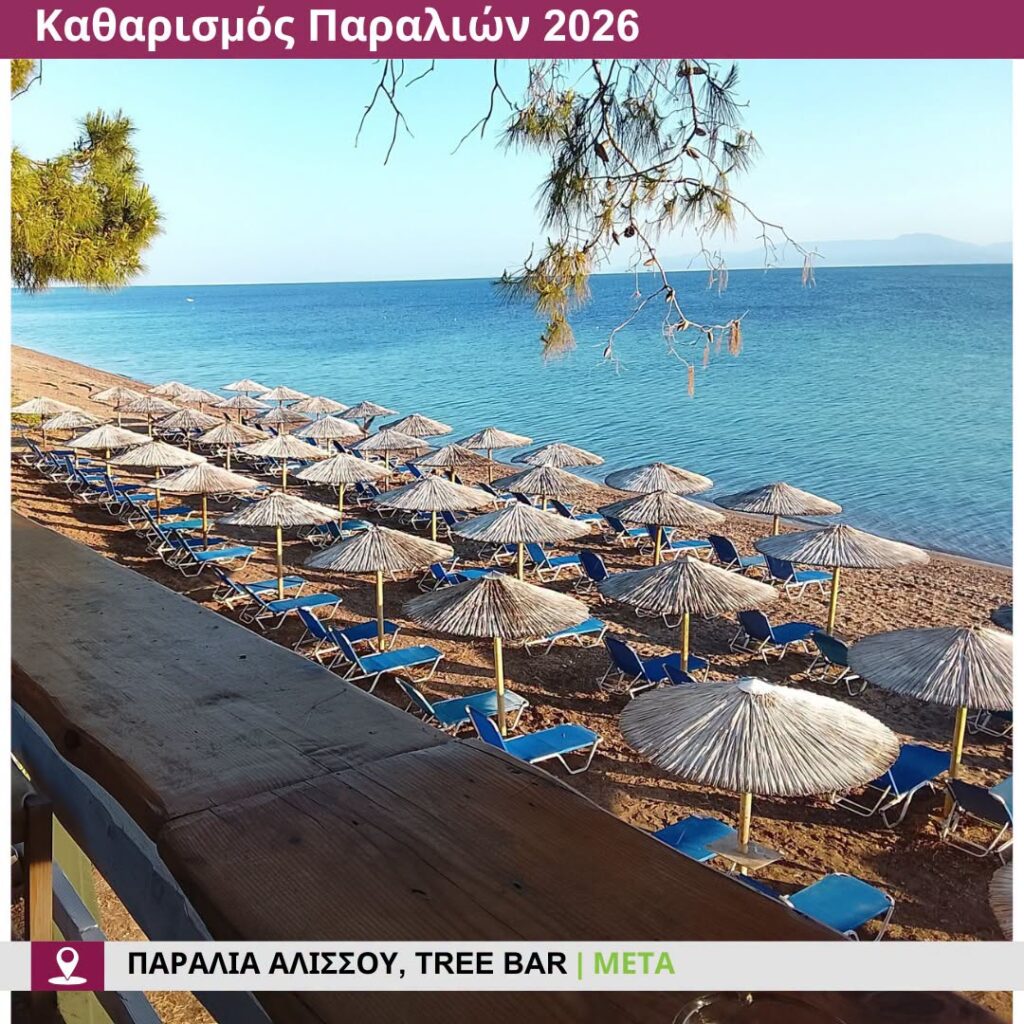 Αλισσός: Ανετη και ασφαλής η παραλία, με Ναυαγοσωστικό πύργο ΦΩΤΟ 30 Αλισσός: Ανετη και ασφαλής η παραλία, με Ναυαγοσωστικό πύργο ΦΩΤΟ