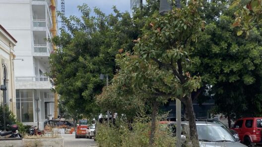 Πάτρα: Το παλιό ΚΤΕΛ παραμένει ξεχασμένο ΦΩΤΟ 36 Πάτρα: Το παλιό ΚΤΕΛ παραμένει ξεχασμένο ΦΩΤΟ