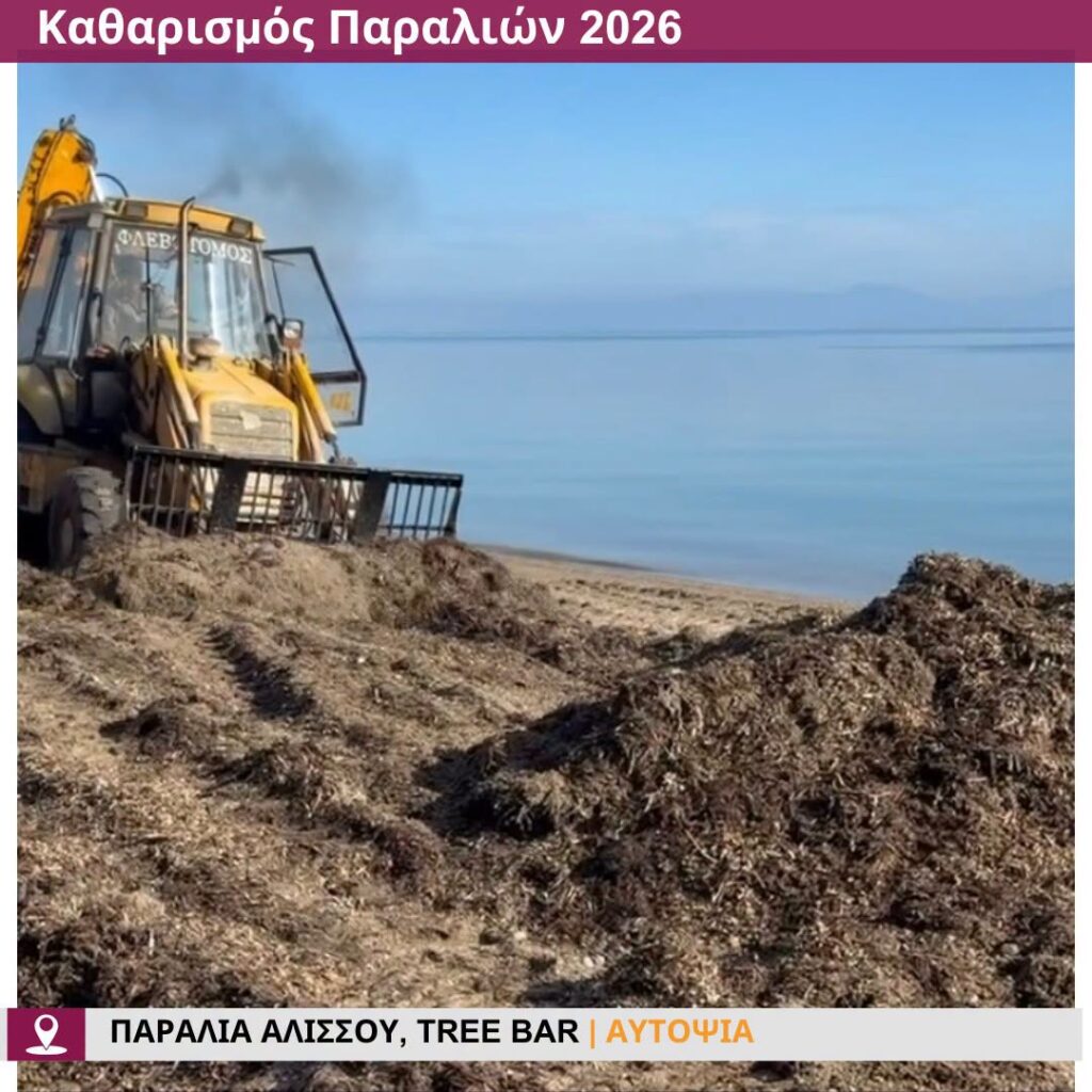Αλισσός: Ανετη και ασφαλής η παραλία, με Ναυαγοσωστικό πύργο ΦΩΤΟ 32 Αλισσός: Ανετη και ασφαλής η παραλία, με Ναυαγοσωστικό πύργο ΦΩΤΟ