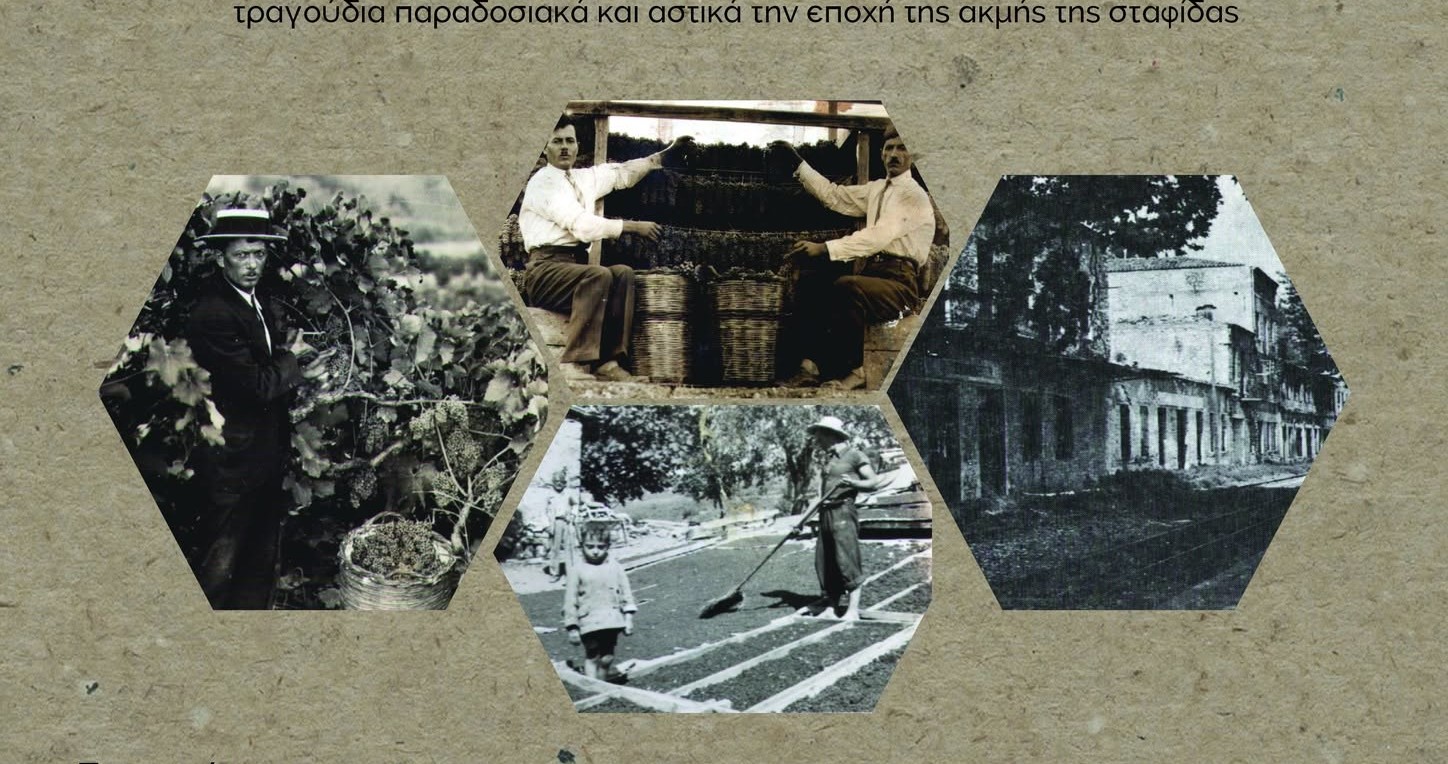 Μουσική βραδιά αφιερωμένη στη σταφίδα 4 Μουσική βραδιά αφιερωμένη στη σταφίδα