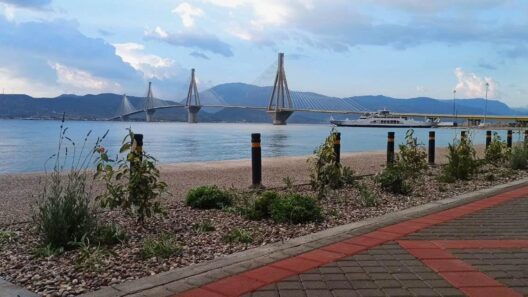 Πάτρα: Αλλάζει όψη η παραλιακή του Ρίου με τα πρώτα φυτά ΦΩΤΟ 40 Πάτρα: Αλλάζει όψη η παραλιακή του Ρίου με τα πρώτα φυτά ΦΩΤΟ