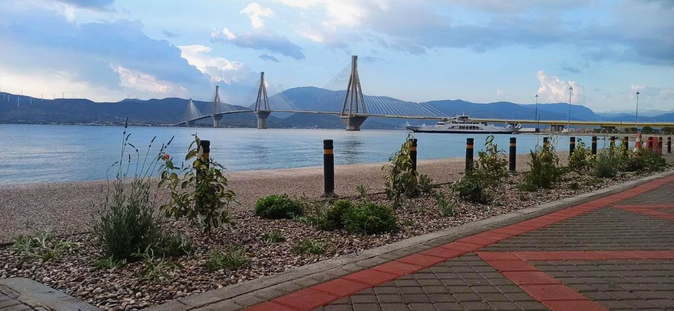 Πάτρα: Αλλάζει όψη η παραλιακή του Ρίου με τα πρώτα φυτά ΦΩΤΟ