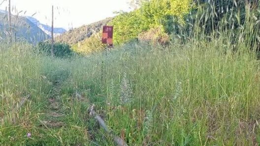 Αχαΐα: Χορτάριασε ο Οδοντωτός από το «λουκέτο» - Χωρίς πλάνο επανεκκίνησης και χρονοδιάγραμμα αλλά κυβερνητική προκλητικότητα ΦΩΤΟ 38 Αχαΐα: Χορτάριασε ο Οδοντωτός από το «λουκέτο» - Χωρίς πλάνο επανεκκίνησης και χρονοδιάγραμμα αλλά κυβερνητική προκλητικότητα ΦΩΤΟ