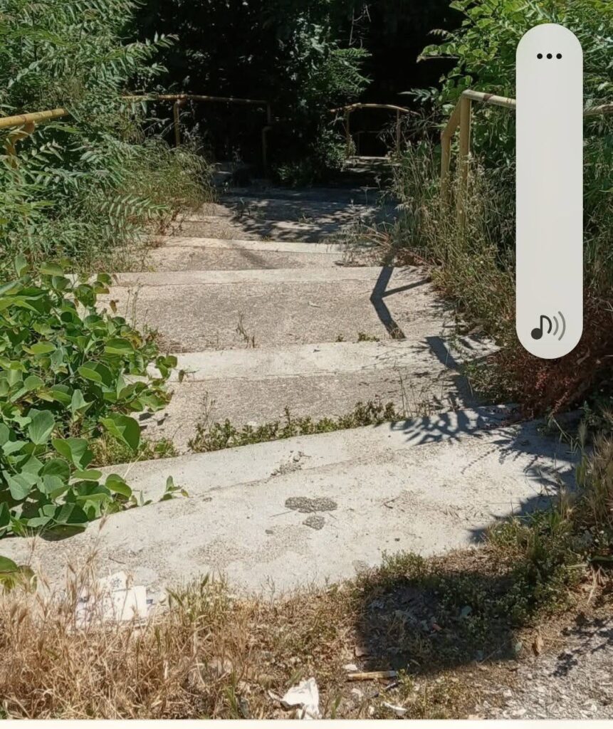 Αίγιο: Απέραντη «ζούγκλα» σε επικίνδυνα περάσματα πεζών ΦΩΤΟ 31 Αίγιο: Απέραντη «ζούγκλα» σε επικίνδυνα περάσματα πεζών ΦΩΤΟ