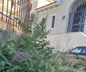 Αίγιο: Απέραντη «ζούγκλα» σε επικίνδυνα περάσματα πεζών ΦΩΤΟ