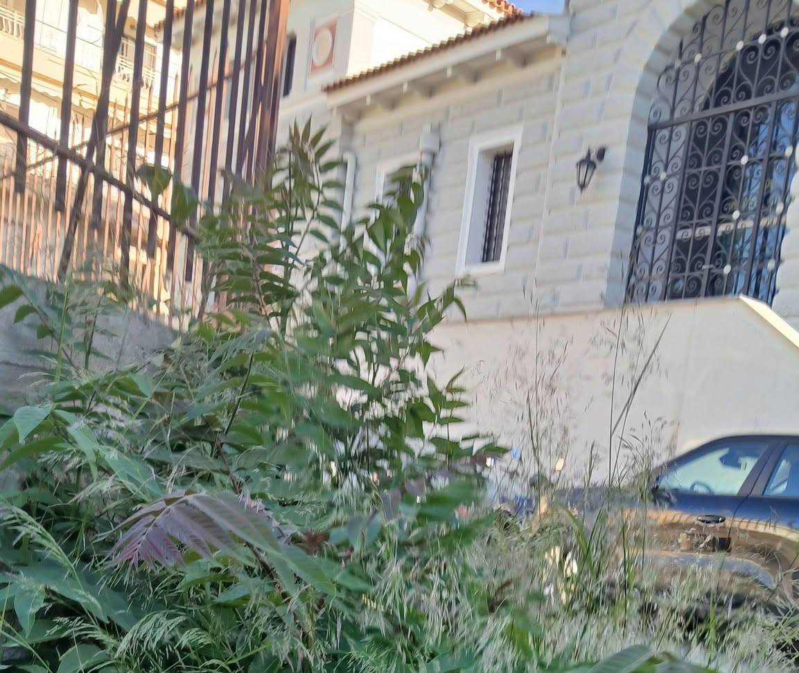 Αίγιο: Απέραντη «ζούγκλα» σε επικίνδυνα περάσματα πεζών ΦΩΤΟ 4 Αίγιο: Απέραντη «ζούγκλα» σε επικίνδυνα περάσματα πεζών ΦΩΤΟ