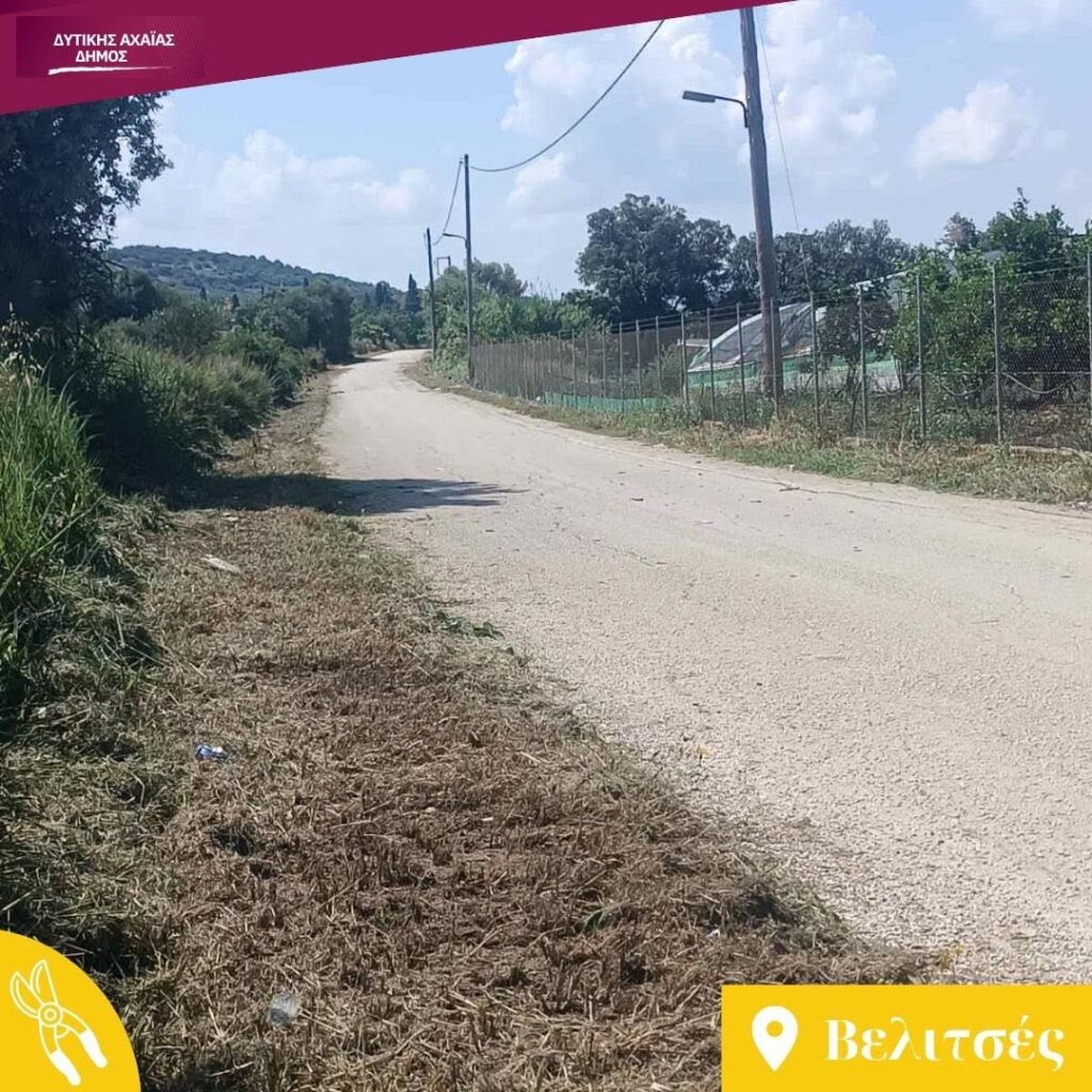 Δυτική Αχαΐα: Εργασίες καθαρισμού βλάστησης που εμποδίζουν τους οδηγούς ΦΩΤΟ . 31 Δυτική Αχαΐα: Εργασίες καθαρισμού βλάστησης που εμποδίζουν τους οδηγούς ΦΩΤΟ .