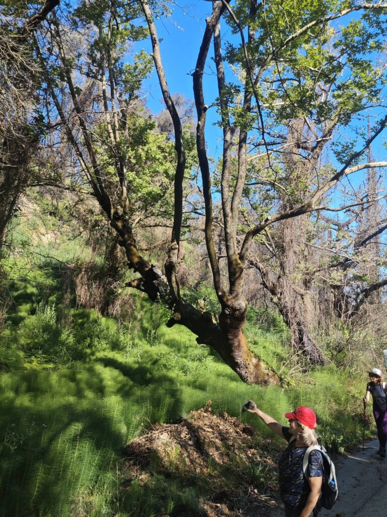 Οι «Πεζοπόροι της Πάτρας» περπάτησαν από Βραχναίκα μέχρι Δρέσθενα ΦΩΤΟ 33 Οι «Πεζοπόροι της Πάτρας» περπάτησαν από Βραχναίκα μέχρι Δρέσθενα ΦΩΤΟ