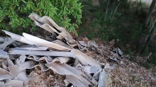 Αχαΐα: Καρκινογόνο υλικό σε όχθη ποταμού απειλεί ευθέως τη Δημόσια Υγεία ΒΙΝΤΕΟ 37 Αχαΐα: Καρκινογόνο υλικό σε όχθη ποταμού απειλεί ευθέως τη Δημόσια Υγεία ΒΙΝΤΕΟ