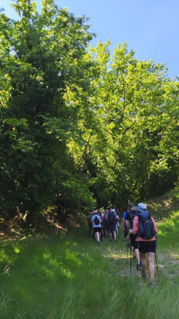 Ο Πεζοπορικός Ομιλος Χαλανδρίου στο Φαράγγι της Κερνίτσας ΦΩΤΟ