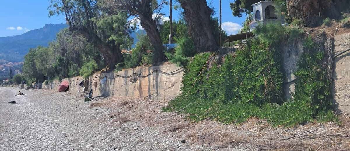 Ακράτα: «Καρατόμησαν» αρμυρίκια στην παραλία και φεύγουν οι παραθεριστές ΦΩΤΟ