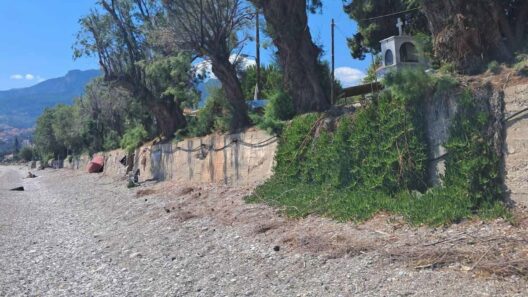 Ακράτα: «Καρατόμησαν» αρμυρίκια στην παραλία και φεύγουν οι παραθεριστές ΦΩΤΟ 36 Ακράτα: «Καρατόμησαν» αρμυρίκια στην παραλία και φεύγουν οι παραθεριστές ΦΩΤΟ