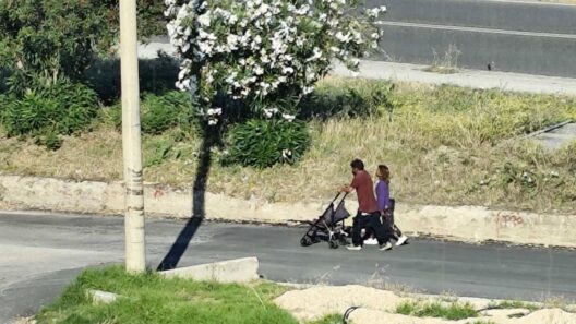 Πάτρα: Έντονες διαμαρτυρίες για την κατάσταση σε χώρο στάθμευσης στην Αγυιά ΦΩΤΟ 37 Πάτρα: Έντονες διαμαρτυρίες για την κατάσταση σε χώρο στάθμευσης στην Αγυιά ΦΩΤΟ