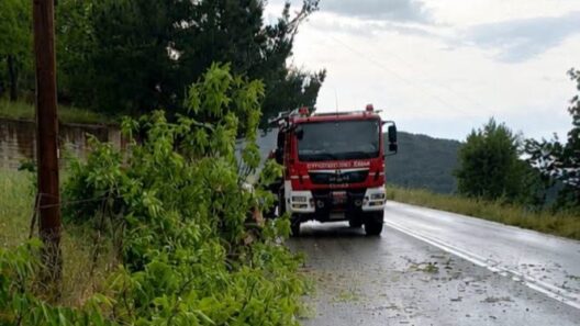 Πατρών-Καλαβρύτων: Δέντρο έκοψε την κυκλοφορία στην ΕΟ και κινητοποίησε τις Αρχές ΦΩΤΟ 41 Πατρών-Καλαβρύτων: Δέντρο έκοψε την κυκλοφορία στην ΕΟ και κινητοποίησε τις Αρχές ΦΩΤΟ