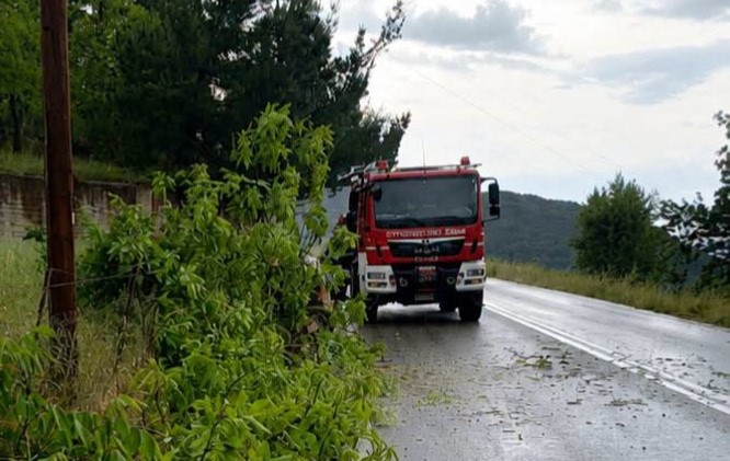 Πατρών-Καλαβρύτων: Δέντρο έκοψε την κυκλοφορία στην ΕΟ και κινητοποίησε τις Αρχές ΦΩΤΟ