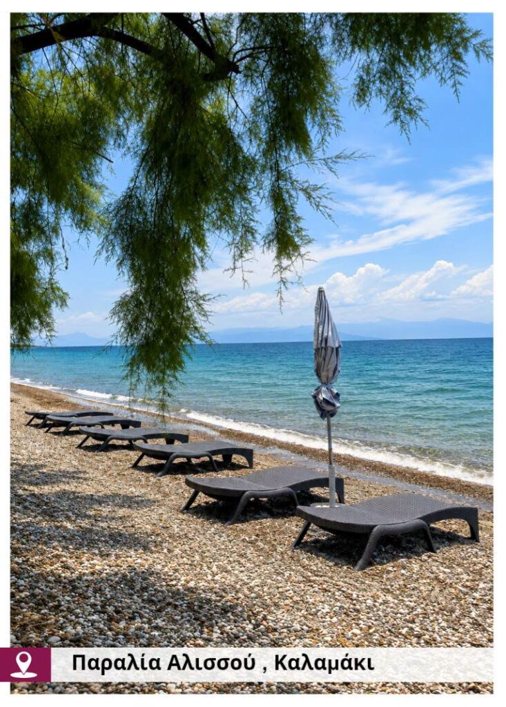 Δυτική Αχαϊα: Η ανάδειξη των παραλιών πραγματικότητα, με νέες παρεμβάσεις ΦΩΤΟ 31 Δυτική Αχαϊα: Η ανάδειξη των παραλιών πραγματικότητα, με νέες παρεμβάσεις ΦΩΤΟ