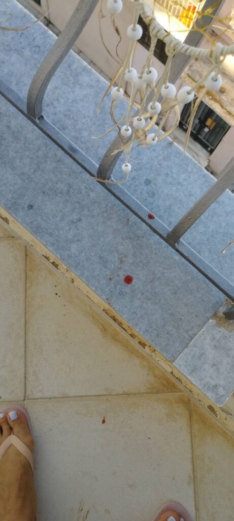 Πάτρα: Τρόμος από περιστέρια σε σπίτια, με κόκκινα περιττώματα σαν αίμα και φόβος για αρρώστιες ΦΩΤΟ 35 Πάτρα: Τρόμος από περιστέρια σε σπίτια, με κόκκινα περιττώματα σαν αίμα και φόβος για αρρώστιες ΦΩΤΟ