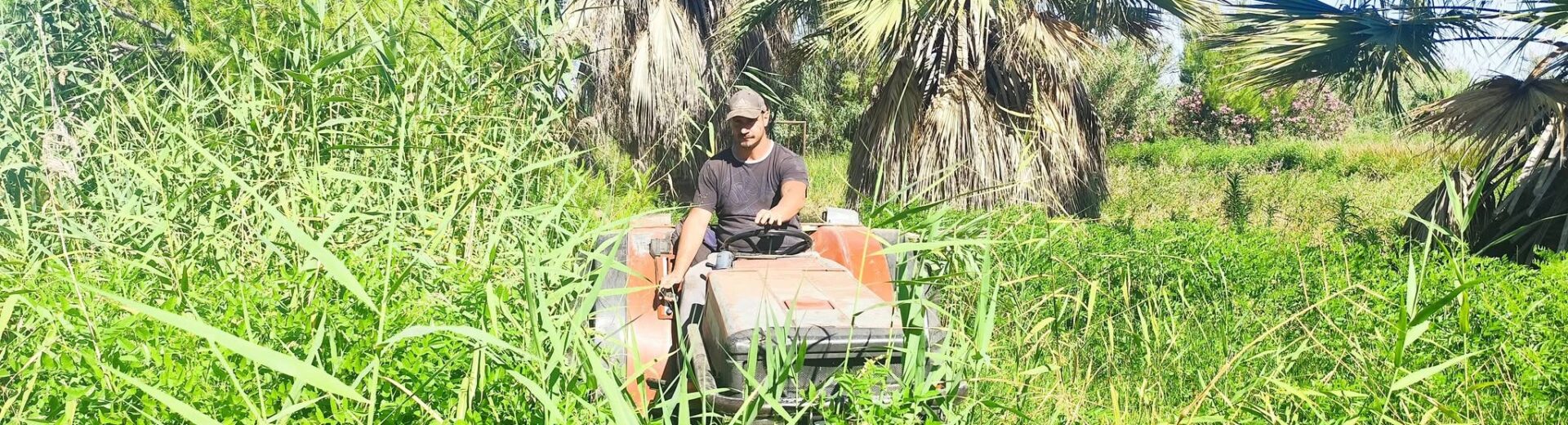 Κάτω Αλισσός: Η «ζούγκλα» που...ξανάγινε παραλιακή πλατεία ΦΩΤΟ