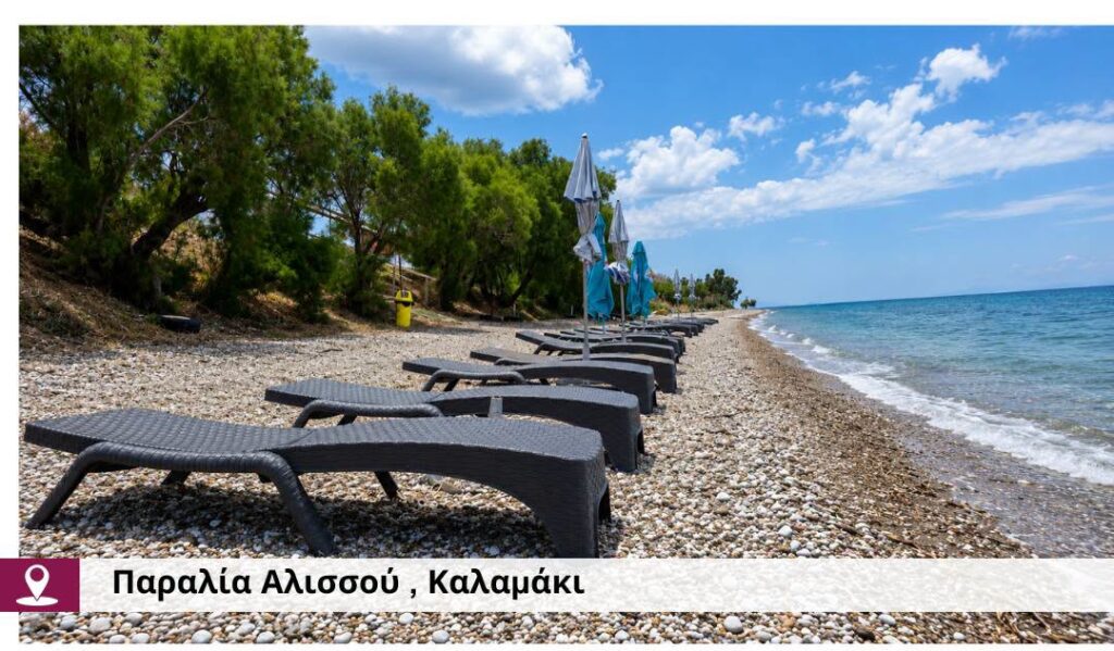 Δυτική Αχαϊα: Η ανάδειξη των παραλιών πραγματικότητα, με νέες παρεμβάσεις ΦΩΤΟ 37 Δυτική Αχαϊα: Η ανάδειξη των παραλιών πραγματικότητα, με νέες παρεμβάσεις ΦΩΤΟ