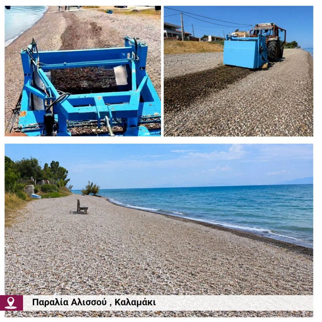 Δυτική Αχαϊα: Η ανάδειξη των παραλιών πραγματικότητα, με νέες παρεμβάσεις ΦΩΤΟ 33 Δυτική Αχαϊα: Η ανάδειξη των παραλιών πραγματικότητα, με νέες παρεμβάσεις ΦΩΤΟ