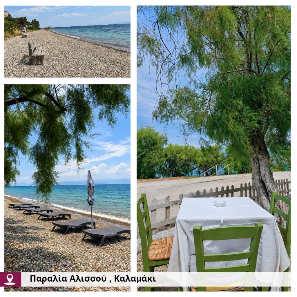 Δυτική Αχαϊα: Η ανάδειξη των παραλιών πραγματικότητα, με νέες παρεμβάσεις ΦΩΤΟ 32 Δυτική Αχαϊα: Η ανάδειξη των παραλιών πραγματικότητα, με νέες παρεμβάσεις ΦΩΤΟ