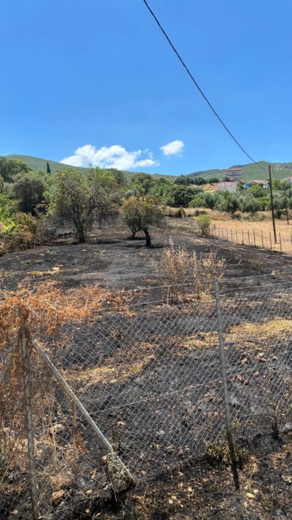 Κρήνη: Πυρκαγιά αποσοβήθηκε μετά από άμεση κινητοποίηση Πυροσβεστών ΦΩΤΟ
