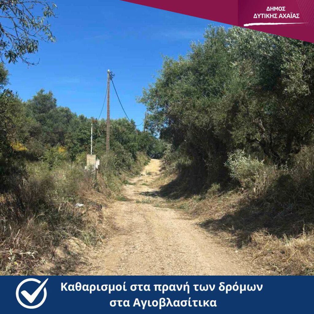 Δυτική Αχαϊα: Ειδικοί καθαρισμοί δρόμων για ορατότητα των οδηγών ΦΩΤΟ 31 Δυτική Αχαϊα: Ειδικοί καθαρισμοί δρόμων για ορατότητα των οδηγών ΦΩΤΟ