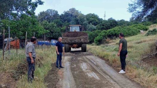 Δυτική Αχαΐα: Καθαρισμός δρόμων και αντιπυρικές ζώνες για φωτιές ΦΩΤΟ 37 Δρόμων Καθαρισμός και αντιπυρικές ζώνες