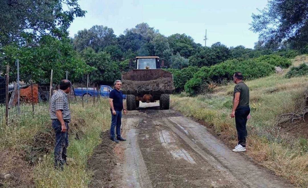Δρόμων Καθαρισμός και αντιπυρικές ζώνες
