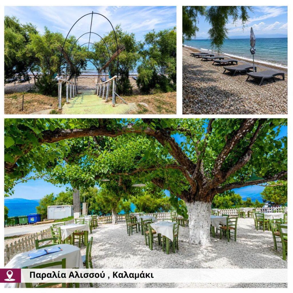 Δυτική Αχαϊα: Η ανάδειξη των παραλιών πραγματικότητα, με νέες παρεμβάσεις ΦΩΤΟ 30 Δυτική Αχαϊα: Η ανάδειξη των παραλιών πραγματικότητα, με νέες παρεμβάσεις ΦΩΤΟ