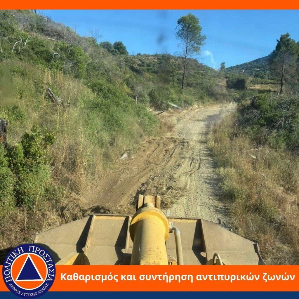 Δυτική Αχαϊα: Με καθαρισμό αντιπυρικών ζωνών θωρακίζεται από πυρκαγιές ΦΩΤΟ