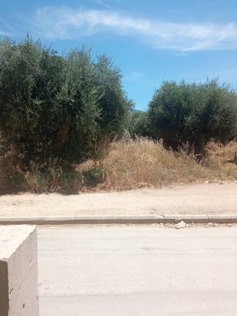 Πάτρα: «Πύρινη βόμβα» δίπλα σε σχολείο, με ξερά χόρτα, μπάζα και...αδιαφορία ΦΩΤΟ 31 Πάτρα: «Πύρινη βόμβα» δίπλα σε σχολείο, με ξερά χόρτα, μπάζα και...αδιαφορία ΦΩΤΟ