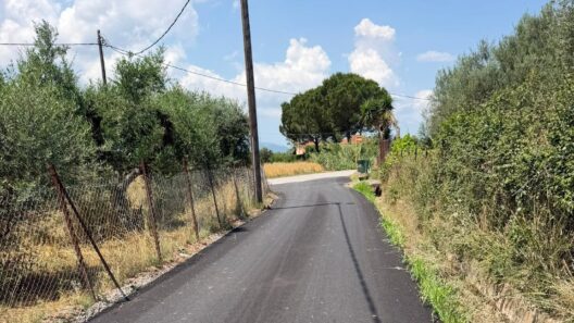 Ερύμανθος: Βελτιώνεται η καθημερινότητα σε αγροτικούς δρόμους ΦΩΤΟ 41 Ερήμανθος: Βελτιωμένα η καθολική και η αγροτική οδοποιία
